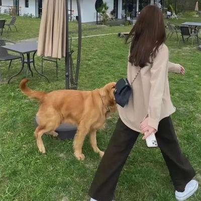 来自天国的情书